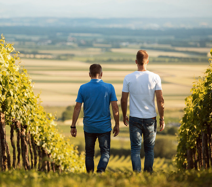 Vater und Sohn des Weinguts Kerner spazieren durch den Weingarten.