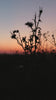 Sunset Tasting Werbevideo