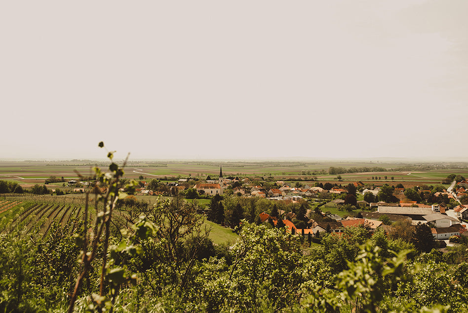 Der Ausblick von der Plattform Ruvinum.