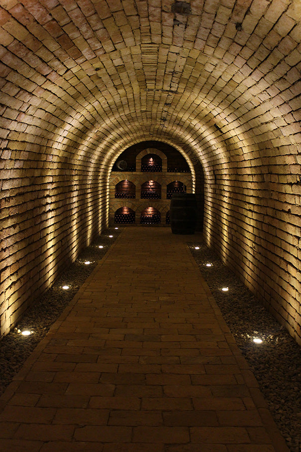 Gewölbe in der Vinothek.